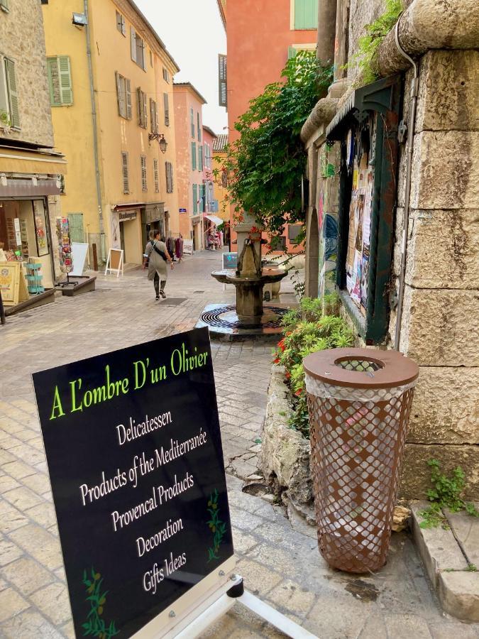 5 Star Rated Exclusive House In Valbonne Village Exteriör bild